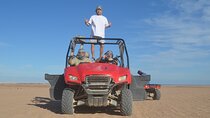 Buggy Safari Adventure with Echo Valley – Sharm El Sheikh