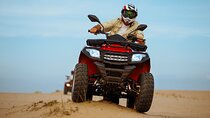 Super Safari ATV Quad with Sunset, Camel & Dinner - Marsa Alam
