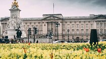 Essential London Half-Day Tour of Iconic Landmarks