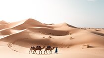 3-Day Desert Tour: Marrakech to Fes via Merzouga