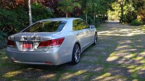 MBJ Airport Transfer to and from Princess Grand Jamaica