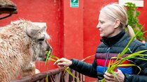 8-Day Private Peru Experience: Nature, Adventure & Cultural Tour