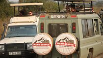 9 Day Tanzania Northern Circuit Mid Range Safari