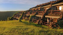 7 Days Serena Experience to Serengeti Great Migration
