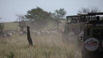 Private 6 Day Great Wildebeest Migration Ndutu Calving Season
