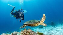 Marsa Mubarak Snorkeling & one intro Dive with Lunch – Marsa Alam