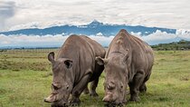 Ol Pejeta Conservancy Full Day Tour From Nairobi