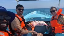 Private Multi Days Tour in Colombo 