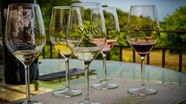 From Vine to Glass An Authentic Kefalonian Experience