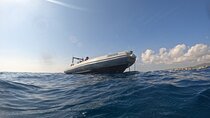 Discover Scuba Diving from the Boot