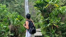 Private Pipiwai Trail Maui Open-Air Jeep Tour