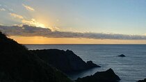 West Izu Sunset Private Tour
