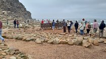 Table Mountain Cape Point Penguin Groot Constantia Private Tour