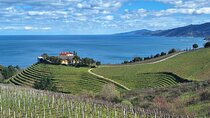 Half day Txakoli Wine and Getaria Tour
