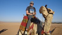 Super Safari Quad, Camel Ride & Bedouin Dinner – Sharm El Sheikh