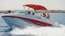 Private Speedboat Cruise 2 Hours on the Red Sea - Sharm El Sheikh