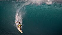 North Shore day,Waterfalls and Turtles Tour