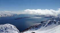Arctic Coastline, Microbrewery and Culture Tour