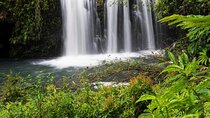 Private Road to Hana Rainforest & Waterfall Experience from Maui 