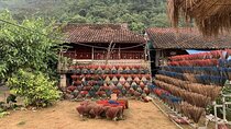 Cao Bằng Explorer: 3-Day Scenic Adventure
