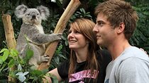 PRIVATE Blue Mountains, Scenic World & Australian Wildlife Tour