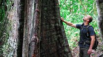Daytrip to Taman Negara National Park With Teras Waterfall