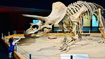 Drumheller and the Badlands Private Sightseeing Tour