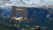  Private Yellowstone Wildlife and Photo Tours West Yellowstone 