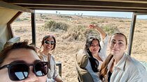 Day Trip From Zanzibar To Mikumi National Park