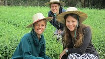 Half day Village Walking Tour