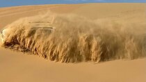 Abu Dhabi Morning Desert Safari with Camel Ride