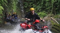  Ubud Bali ATV Quad Bike Adventure