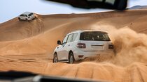 Dubai Desert Safari: Camel Ride, Shows & VIP Area Dinner