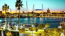 Malaga 6 hour Private Tour from and to Port