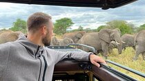 2 Days Tarangire and Ngorongoro Fly in From Zanzibar