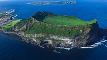 All-Inclusive Jeju East Tour with Lunch and Tangerine Picking