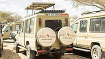 4 Day Adventures Tanzania