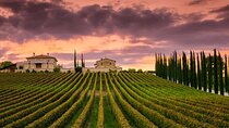 from Rome Montepulciano and Montalcino, the Wine Routes