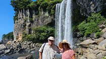 All Inclusive Jeju South Highlights with Lunch and Tangerine Pick