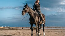 One Hour Desert Horseback Ride Adventure W/Transfer - Marsa Alam