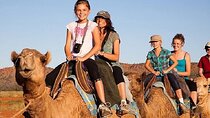 Camel Rides 1 hour in Enchanting Desert With Transfer - Hurghada