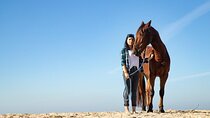 Discover the Desert and Coastline on a 2-Hour Ride - Hurghada