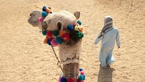 Super Safari by Jeep, Quad, Camel, Dinner & Village – Marsa Alam