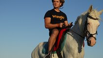Bedouin Night Dinner, Egyptian Show, and Horse Ride tour 2 Hours-Sharm El Sheikh