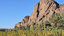 Fint Oasis & Aitbenhaddou From Marrakesh