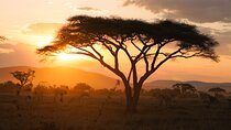 9 Days Private Camping Safari