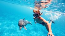 Dolphin House Snorkeling with Lunch and transfer from Hurghada