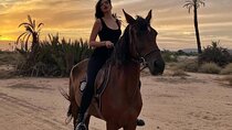 2 Hours Palmeraie Grove Horseback Riding Adventure - Marrakesh