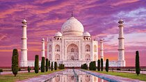 Private Golden Triangle Tour 5 Nights/6 Days - All Inclusive