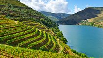 Lisbon to Douro Valley Region Private and Direct Transfer